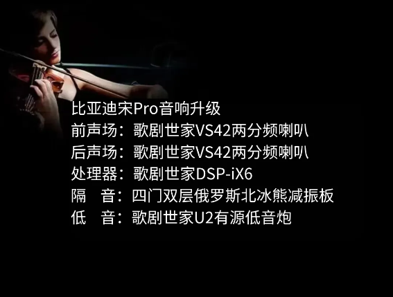 比亞迪宋pro.png